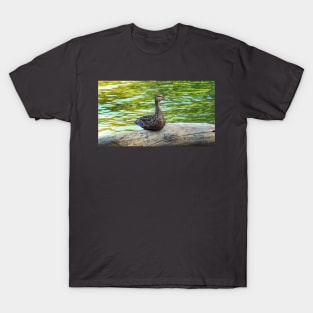 Female Mallard Duck Sitting On A Log T-Shirt